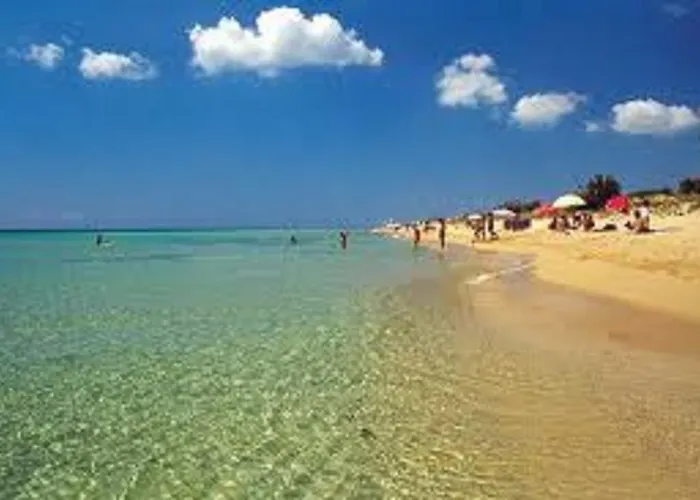 Lu Sule トッレ・ヴァード